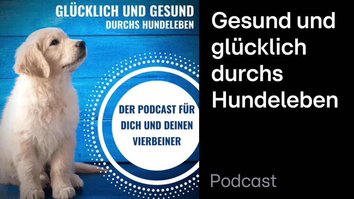Top Dog Germany Der beste Hund Deutschlands im Online Stream ansehen