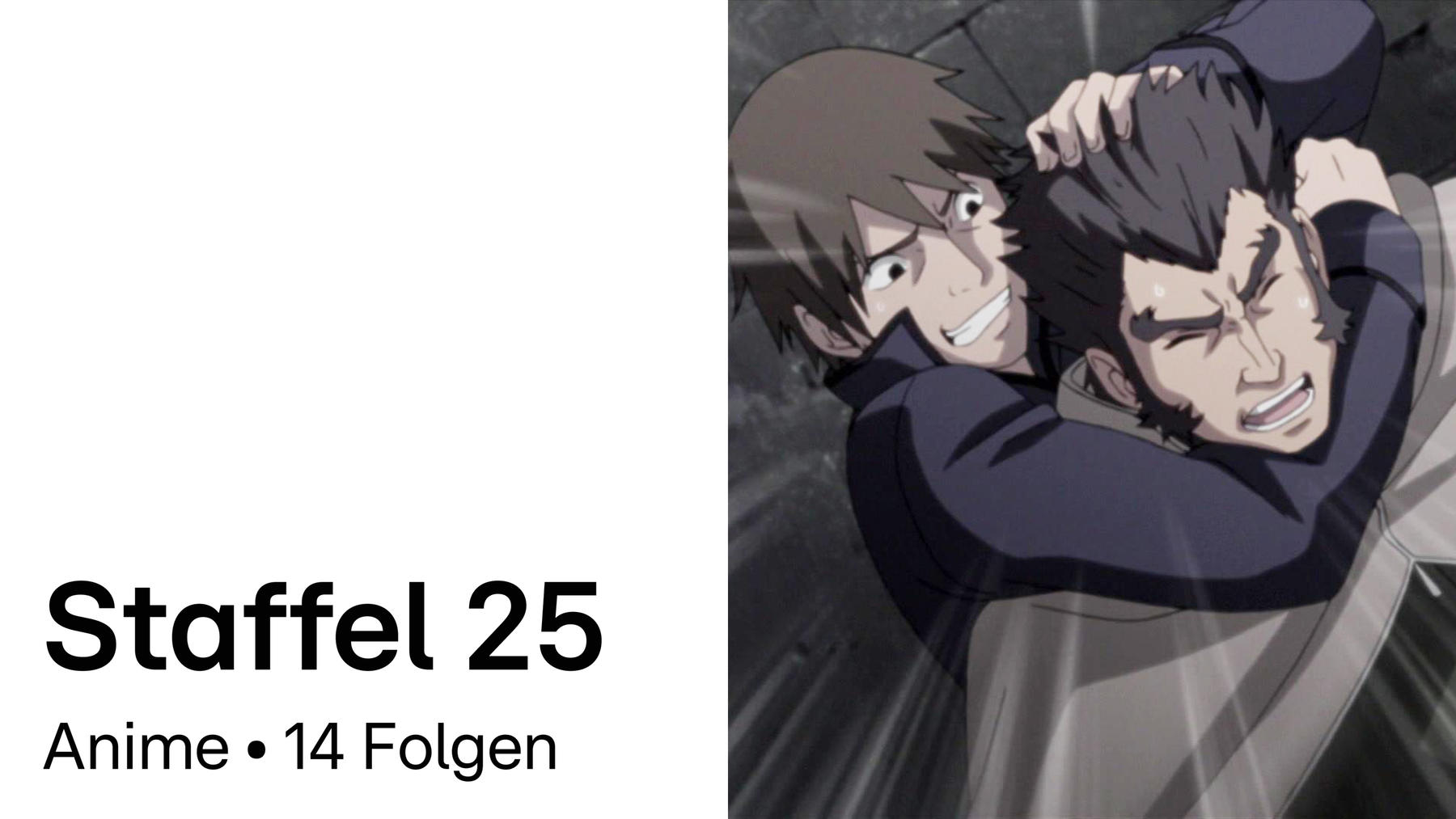 Staffel 25