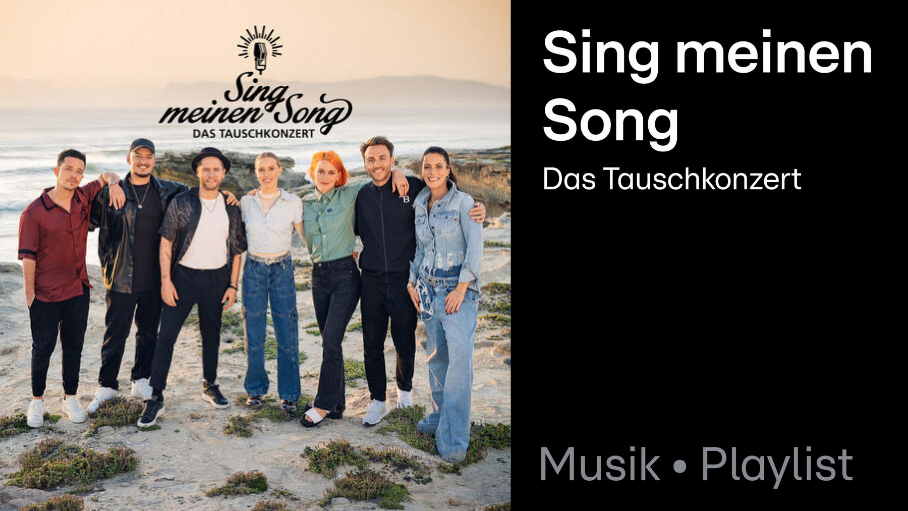 Playlist: Sing meinen Song - Das Tauschkonzert