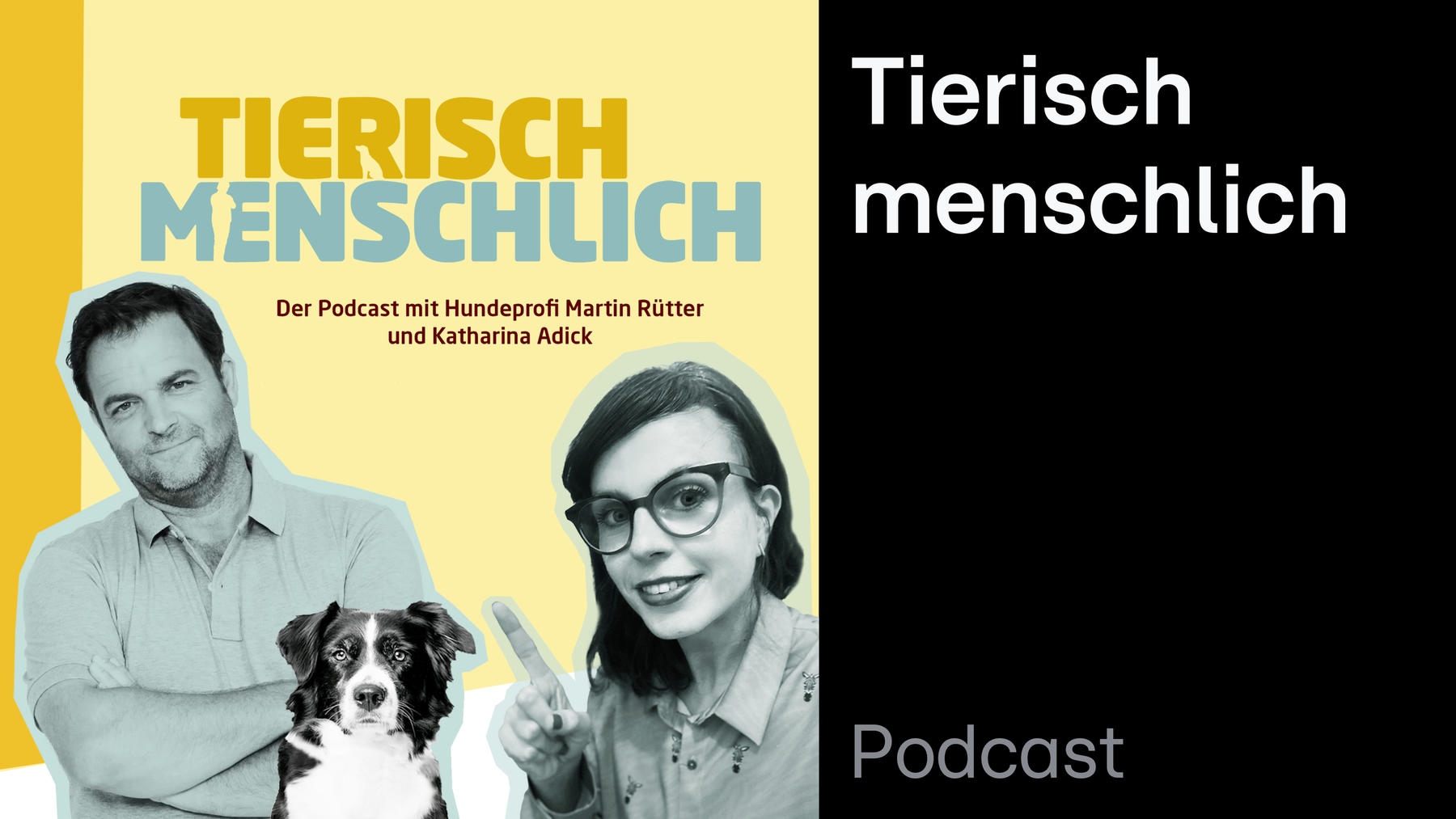 Podcast: Tierisch menschlich - Der Podcast mit Hundeprofi Martin Rütter und Katharina Adick
