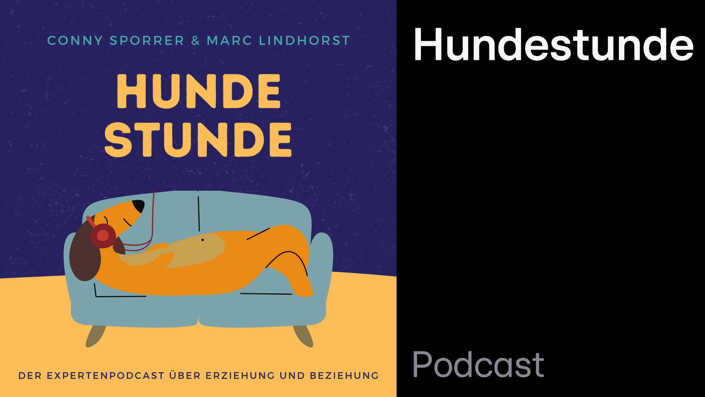 Top Dog Germany Der beste Hund Deutschlands im Online Stream ansehen