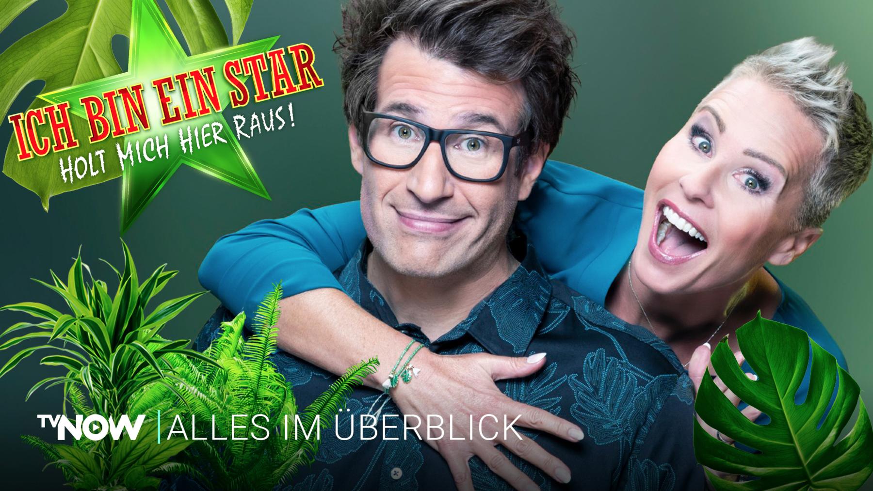 Der Dschungel im Überblick