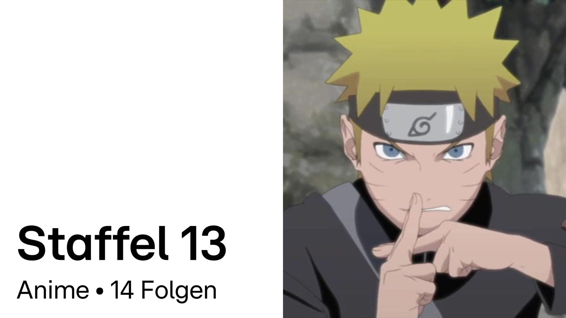 Staffel 13
