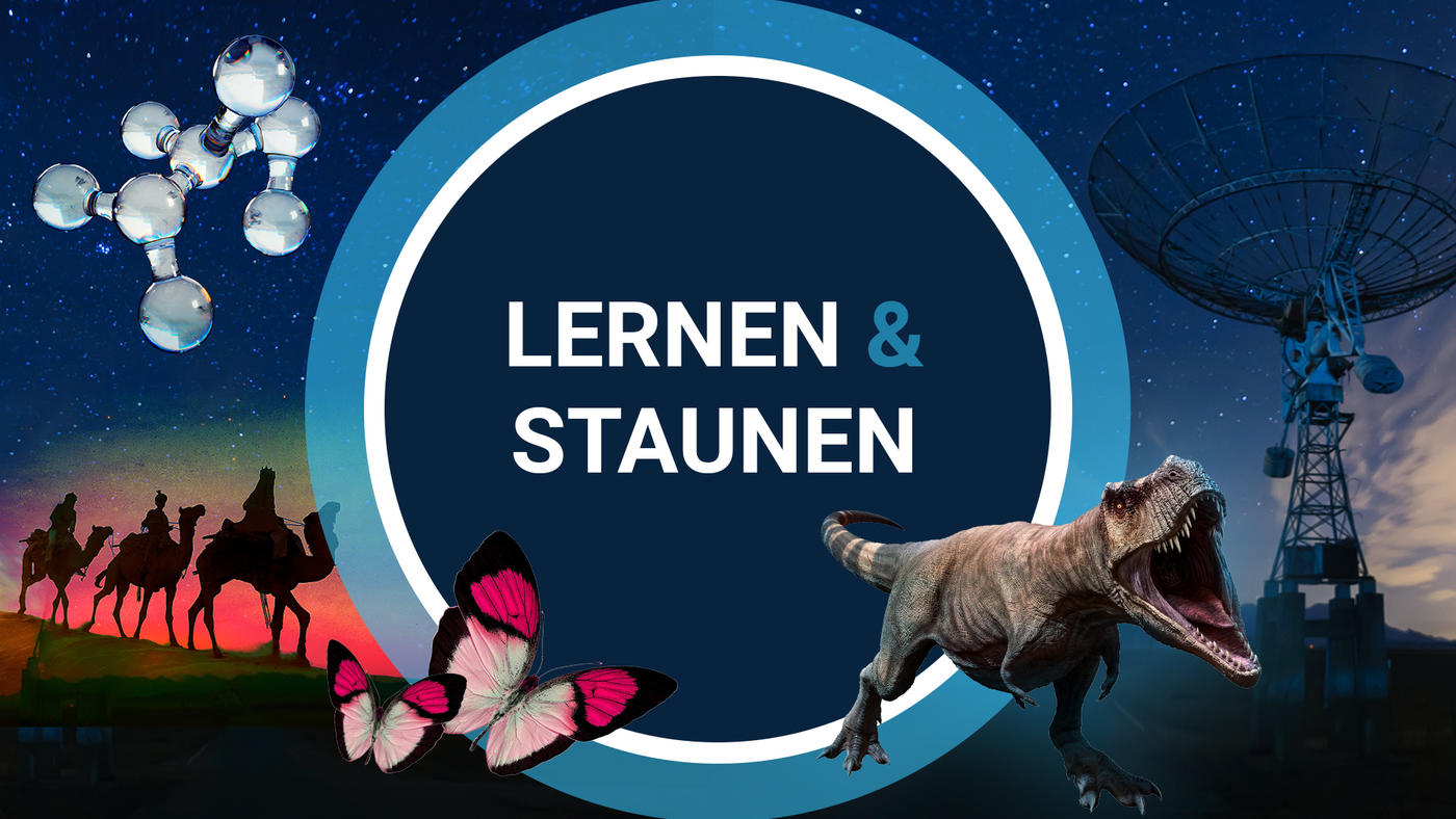 Schöne Kinderfilme und -serien für Mädchen | TVNOW KIDS