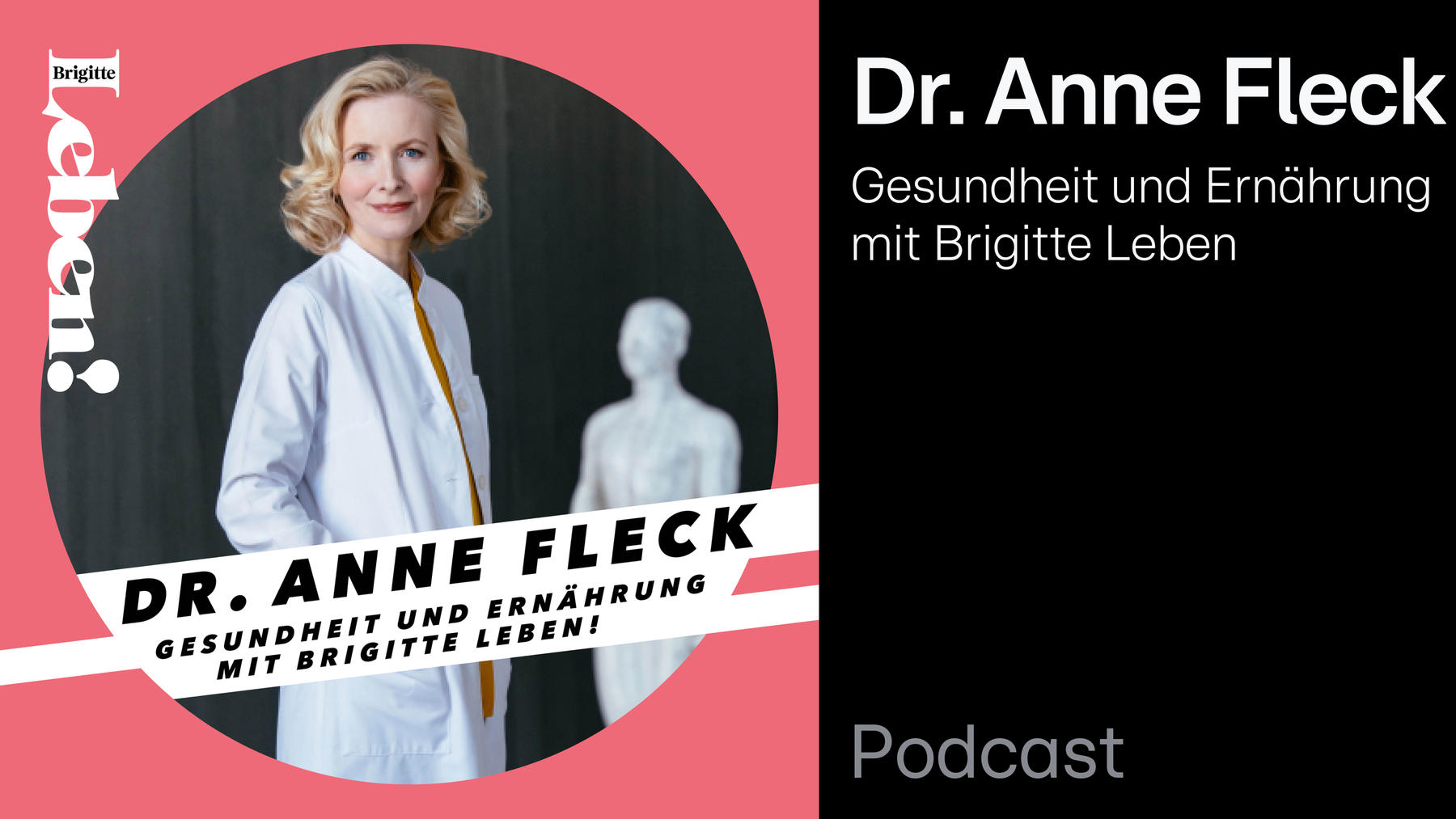 Podcast: Dr. Anne Fleck
