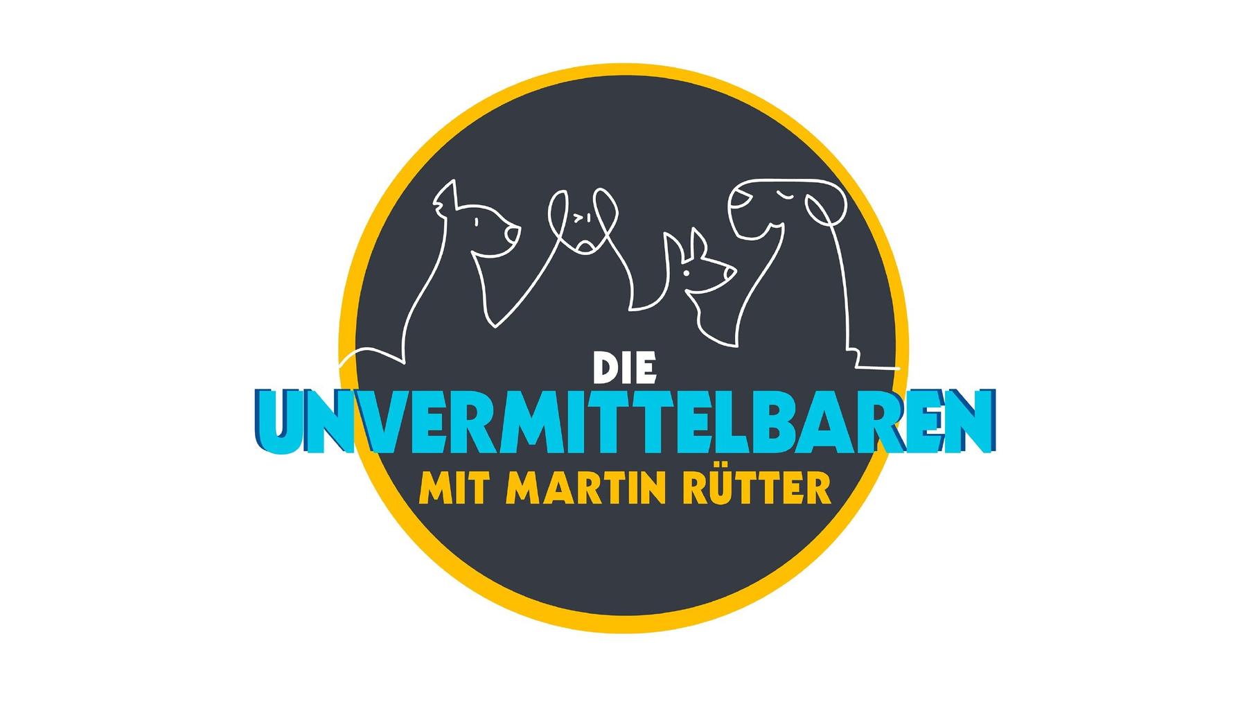 Die Unvermittelbaren - Mit Martin Rütter: Das große Wiedersehen