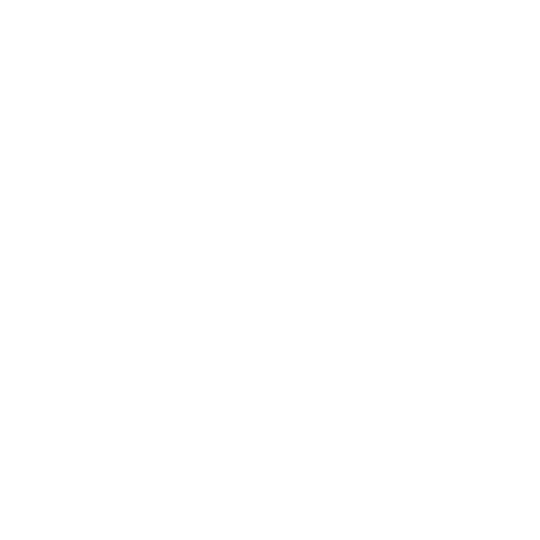 big-bounce-die-trampolinshow