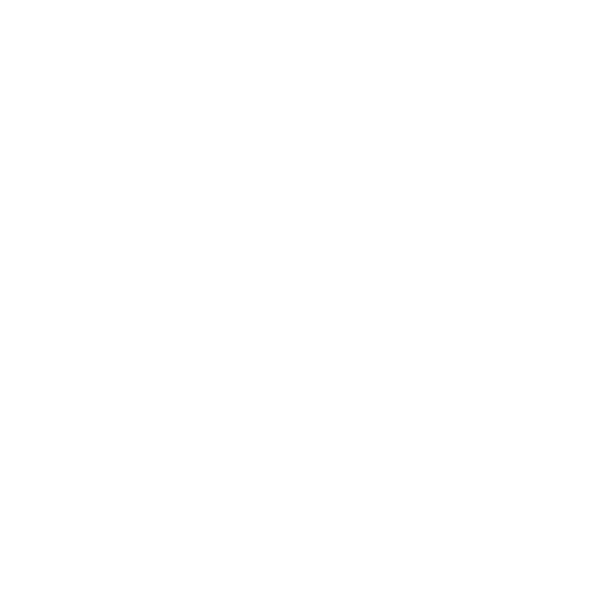 Der Sturz - Mary Decker gegen Zola Budd