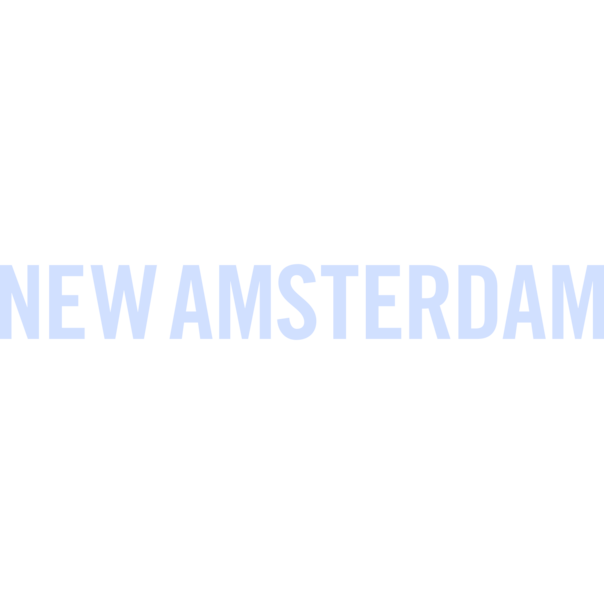new-amsterdam