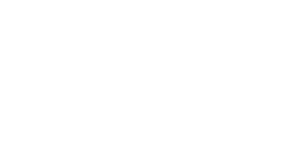 love-detective