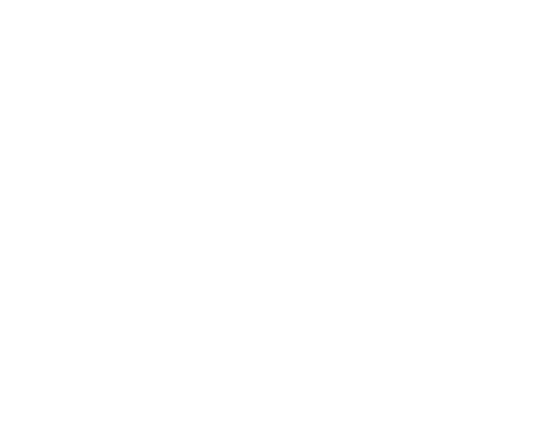 Singletown - Gemeinsam oder einsam?