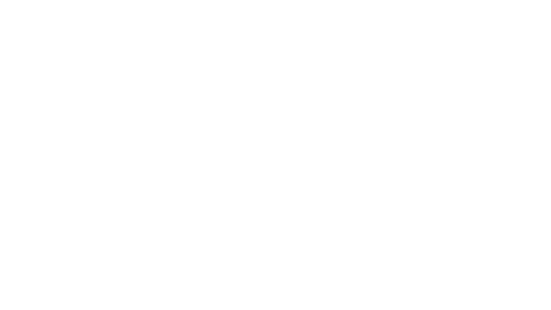 leverage-2-0