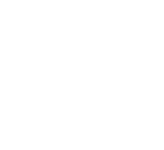 Friedmanns Vier