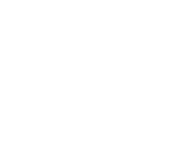 friedmanns-vier