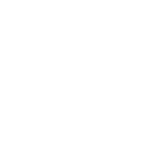 The Girl before