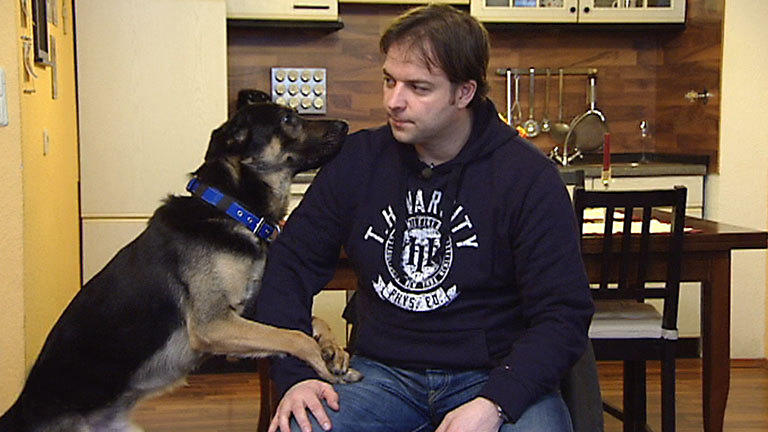 Energiebündel 'Ajax' / Gefährlicher 'Paul' | Der Hundeprofi | RTL+