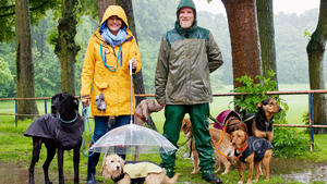 Heute u.a.: Hundebeschäftigung an Regentagen