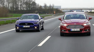 Ford Mustang GT vs. Ford Mondeo