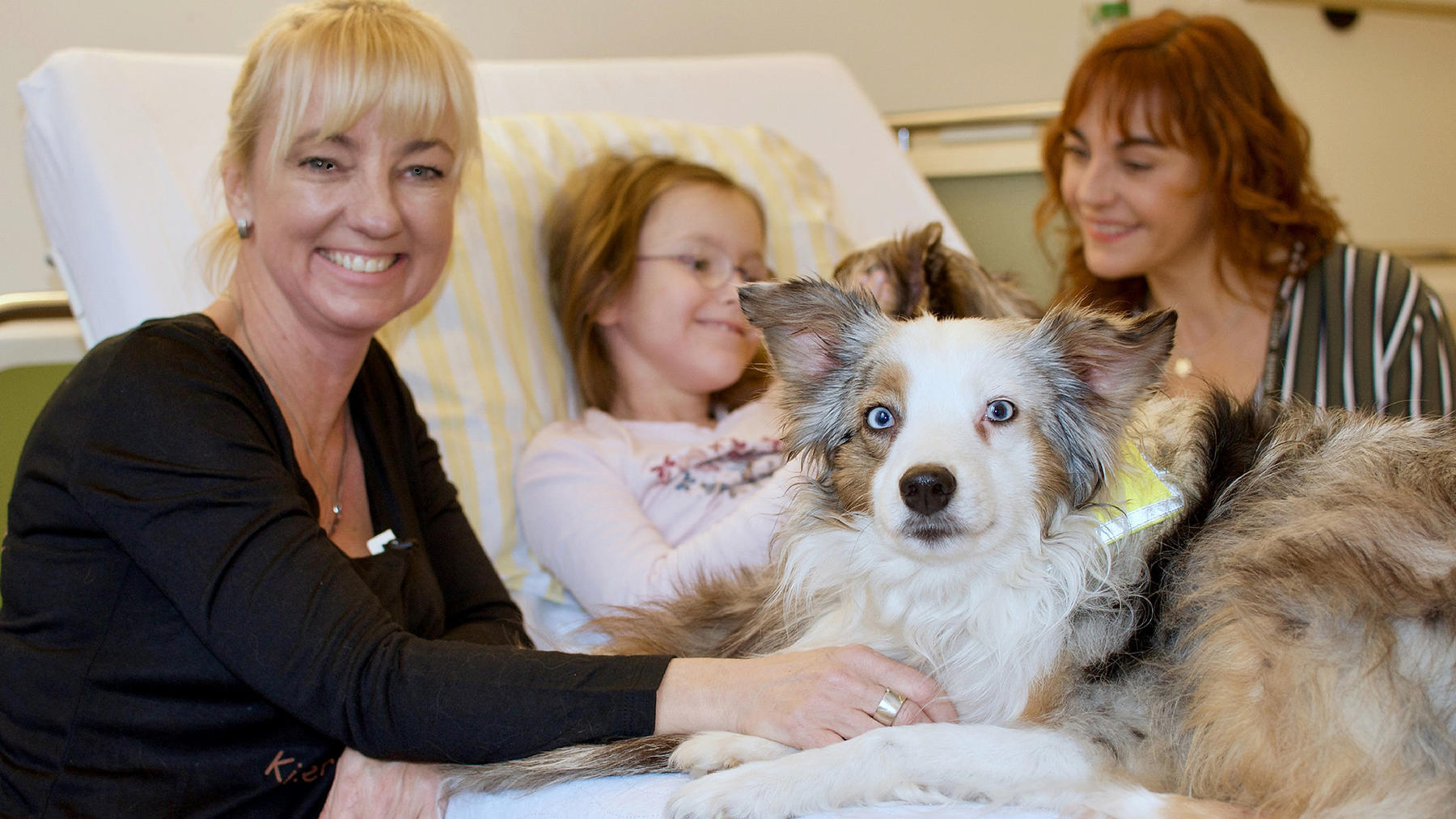 Heute u.a.: Hunde mit Auftrag - Die Krankenhauskuschler