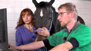 Thema u.a.: Prominenter Besuch beim Pferdezahnarzt