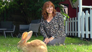 Thema u.a.: Ein Spielplatz für Kaninchen