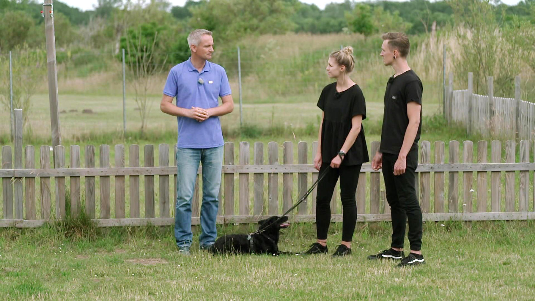 Folge 4 vom 7.11.2020 | Der Hundeprofi - Rütters Team | Staffel 1 | RTL+