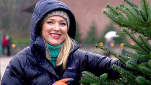 Thema heute u.a.: Wie transportiert man einen Weihnachtsbaum?