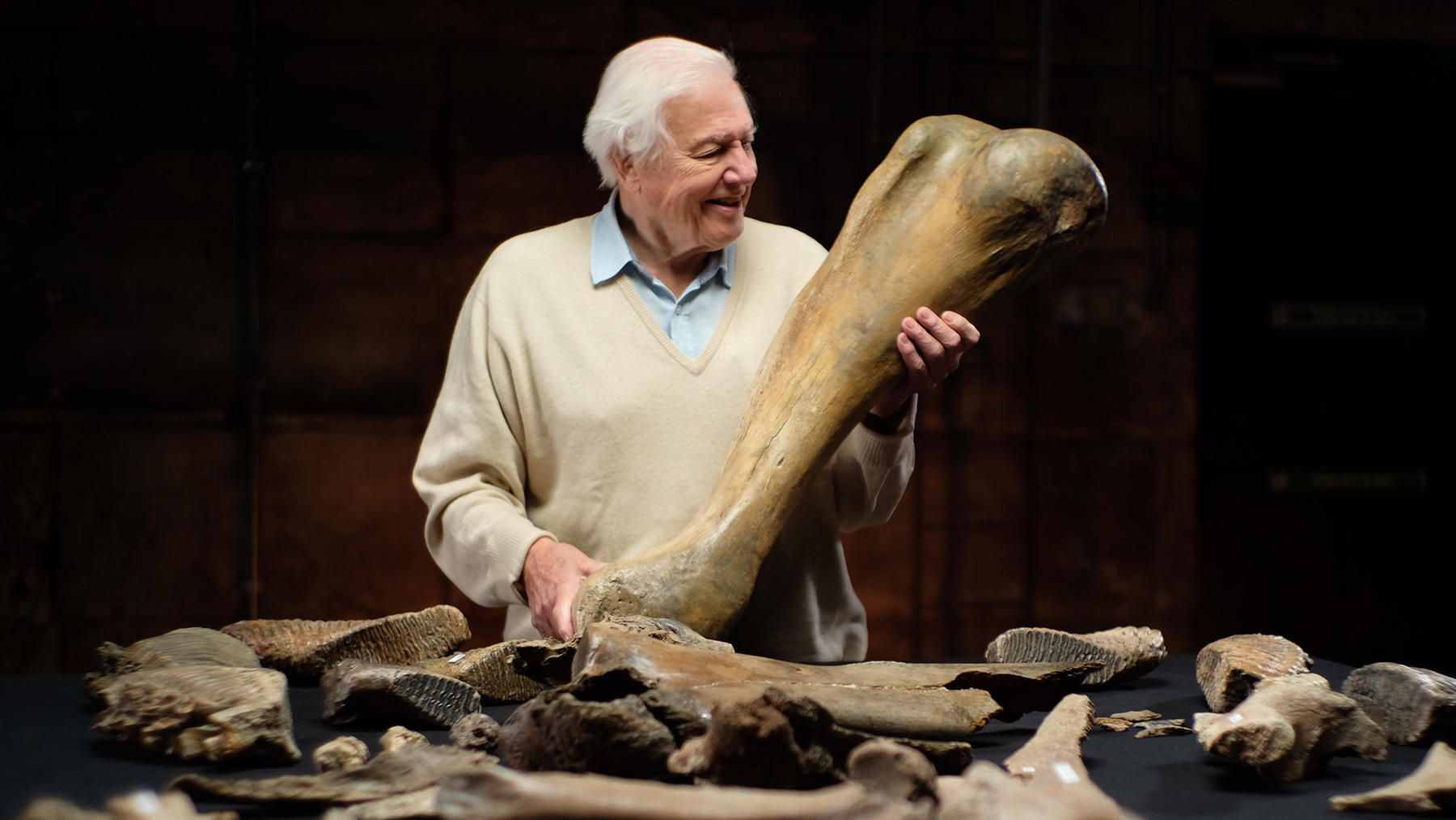 David Attenborough und der Mammut-Friedhof