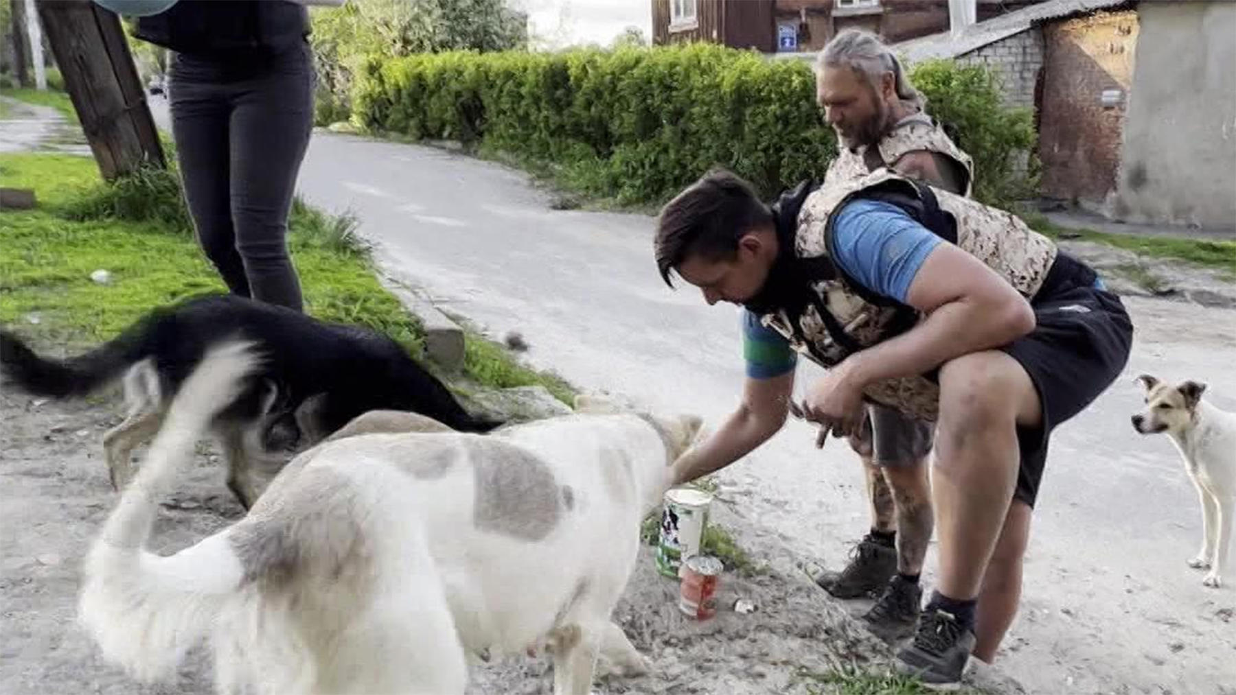 Ukraine: Tierschutz im Krieg